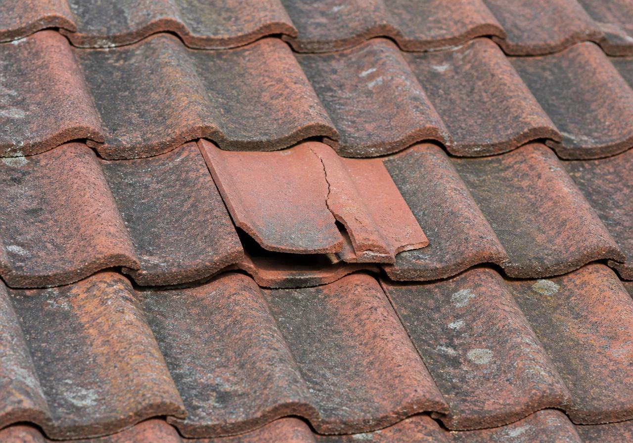 Roof Repairs services